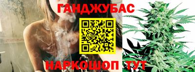 спайс Гай